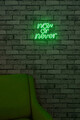 Decoratiune luminoasa LED, Now or Never, Benzi flexibile de neon, DC 12 V, Verde