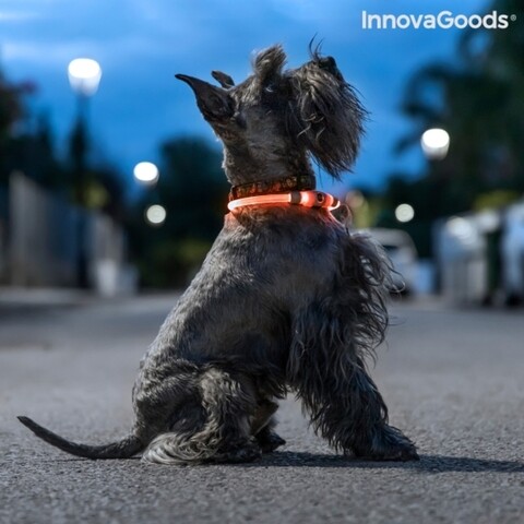 Guler cu led pentru animale de companie, InnovaGoods, Petlux