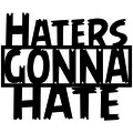 Decoratiune de perete, Haters Gonna Hate, Tanelorn, 51x42 cm, metal