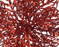 Decoratiune Poinsettia w glitter, Decoris, 23.5x10 cm, plastic, rosu