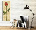 Tablou decorativ, PC089, Canvas, 30 x 80 cm, Multicolor