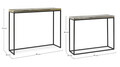 Set 2 console Amira, Bizzotto, 99x29x85 cm, otel/aluminiu