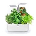 Jardiniera SMART Garden, Veritable 33 x 18.5 x 45 cm, Arctic White