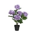 Decoratiune Hortensie, Everlands, 30x57 cm, plastic