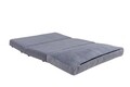 Canapea extensibilă cu 2 locuri, Futon, 859FTN1270, Metal , Gri