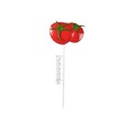 Decoratiune pentru gradina Tomato, Decoris, 17 x 3 x 78.5 cm, fier