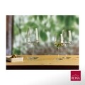 Set 6 pahare pentru vin Lord, Rona, 510 ml, sticla, transparent