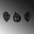 Decoratiune de perete, Detailed Leaves, Metal, 22 x 33 cm, Negru