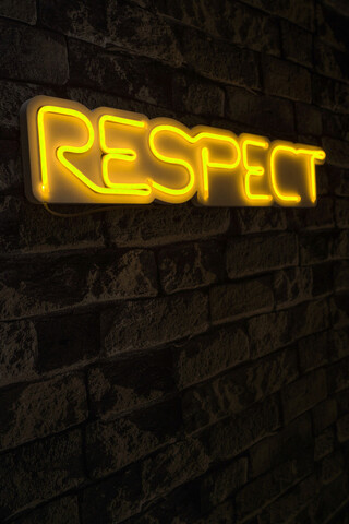 Decoratiune luminoasa LED, Respect, Benzi flexibile de neon, DC 12 V, Galben