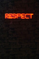 Decoratiune luminoasa LED, Respect, Benzi flexibile de neon, DC 12 V, Rosu