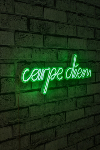 Decoratiune luminoasa LED, Carpe Diem, Benzi flexibile de neon, DC 12 V, Verde