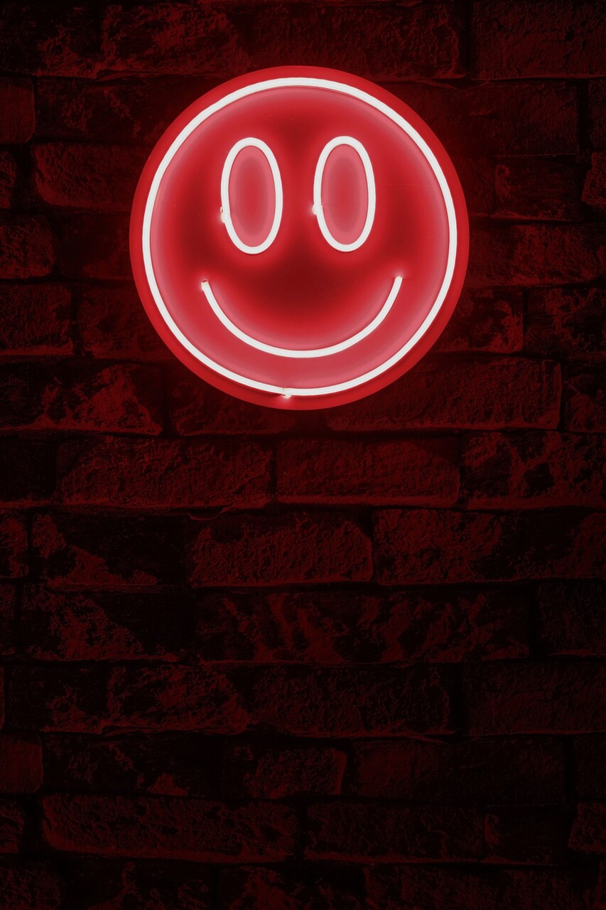 Decoratiune luminoasa LED, Smiley, Benzi flexibile de neon, DC 12 V, Rosu - 1 | YEO