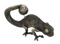 Lampa de masa, Lizard, Mauro Ferretti, 1 x E14, 25W, 37.5 x 16.5 x 22 cm, polirasina, negru/auriu