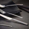 Set tacamuri 30 piese, Villeroy & Boch, Ella Satin Cutlery, inox 18/10