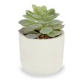 Planta artificiala Succulent plant, Ibergarden, 14x14x9 cm, plastic, alb