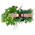 Jardiniera SMART Garden, Veritable 33 x 18.5 x 45 cm, Copper