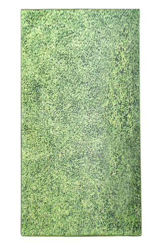 Covor de hol, Grass , 50% catifea/50% poliester, Multicolor