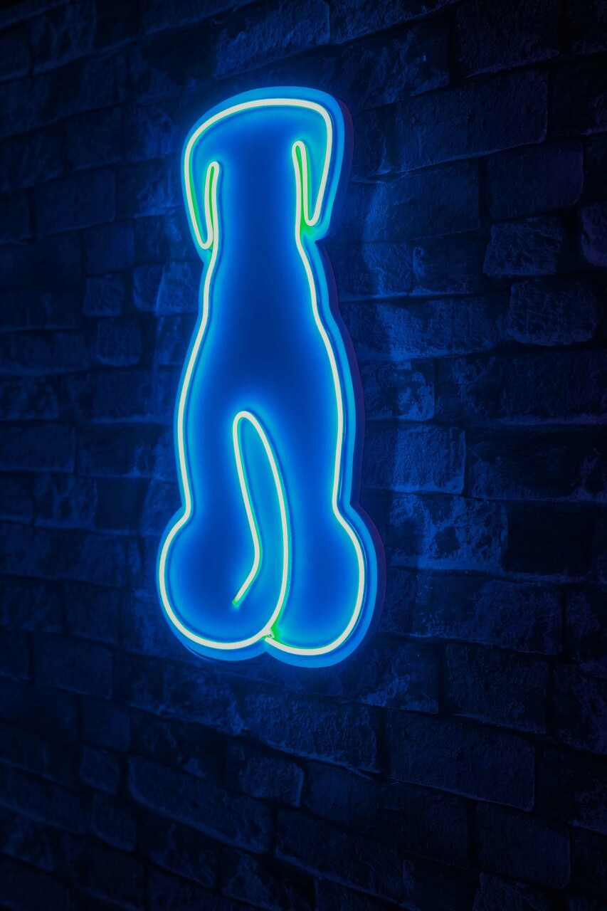 Decoratiune luminoasa LED, Doggy, Benzi flexibile de neon, DC 12 V, Albastru