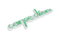 Decoratiune luminoasa LED, Carpe Diem, Benzi flexibile de neon, DC 12 V, Verde