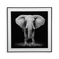 Tablou decorativ din sticla Elephant, Versa, 50x50 cm