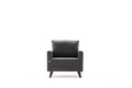 Fotoliu Bella Armchair, Balcab Home, 82x81x85 cm, lemn, antracit