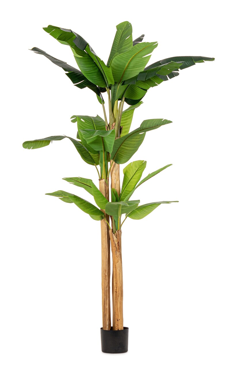 Planta artificiala in ghiveci Banana, Bizzotto, 170 x 160 x 280 cm, 24 frunze, frunze de arbore de cauciuc/trunchi de bananier