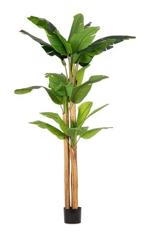 Planta artificiala in ghiveci Banana, Bizzotto, 170 x 160 x 280 cm, 24 frunze, frunze de arbore de cauciuc/trunchi de bananier