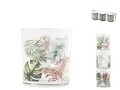 Set 3 pahare Leaves, Chio, 220 ml, sticla