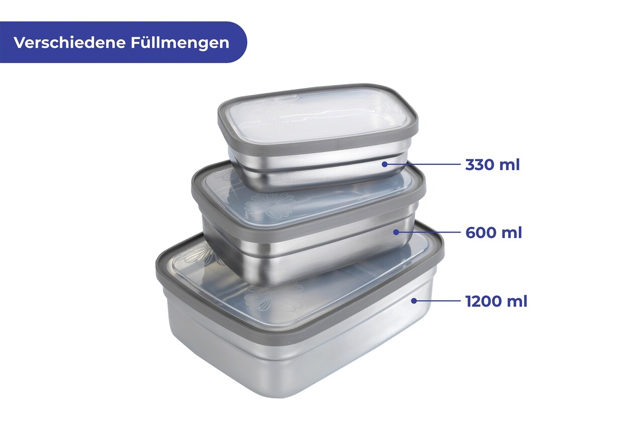 Set 3 cutii pentru pranz Maximex, Lunch, 13.5x9.5x4 cm, inox/polipropilena, argintiu mat/transparent