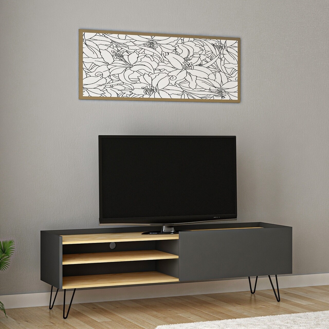 Comoda TV Veronica, Arnetti, 120 x 33.1 x 49.5 cm, oak/antracit