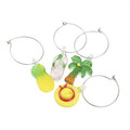 Set accesorii bauturi reci Ice Summer, Homla, 4 bucati, metal, multicolor