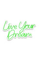 Decoratiune luminoasa LED, Live Your Dream, Benzi flexibile de neon, DC 12 V, Verde