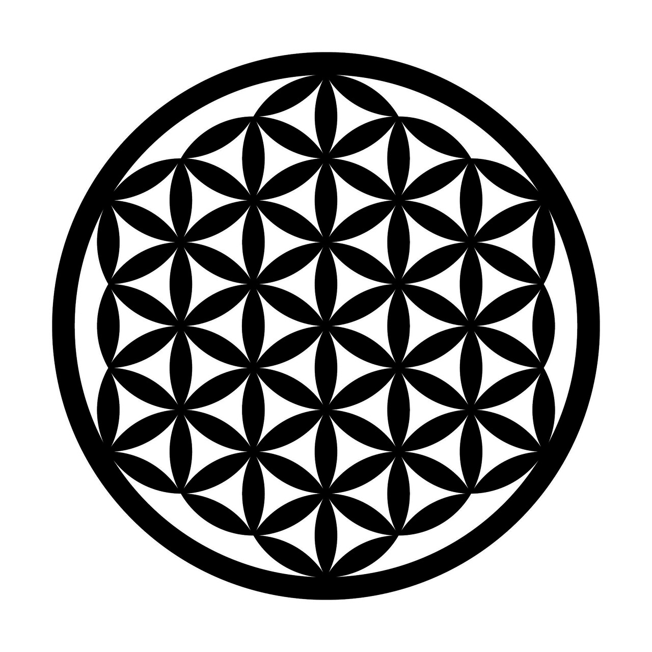 Decoratiune de perete, Flower Of Life 3, Metal, Dimensiune: 48 x 48 cm, Negru - 1 | YEO