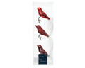 Set 3 globuri asortate Bird Red, Decoris, sticla, rosu