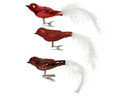 Set 3 globuri asortate Bird Red, Decoris, sticla, rosu