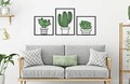 Set 3 decoratiuni de perete Cactus, Mauro Ferretti, 33x46.5 cm, fier, multicolor