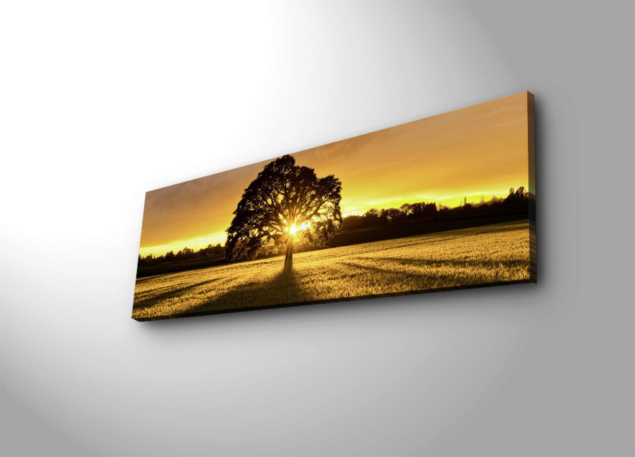 Tablou decorativ cu lumina LED, 3090DACT-68, Canvas, 30 x 90 cm, Multicolor - 1 | YEO