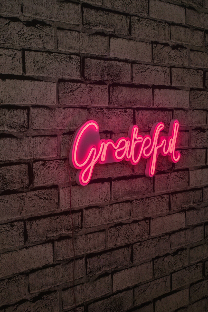 Decoratiune luminoasa LED, Grateful, Benzi flexibile de neon, DC 12 V, Roz