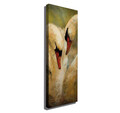 Tablou decorativ, PC088, Canvas, 30 x 80 cm, Multicolor