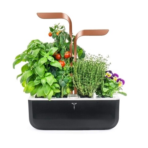 Jardiniera SMART Garden, Veritable 33 x 18.5 x 45 cm, Copper