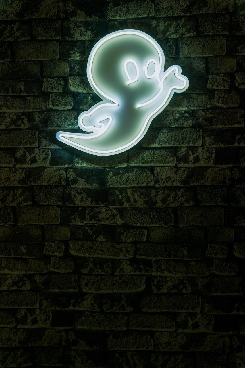 Decoratiune luminoasa LED, Casper The Friendly Ghost, Benzi flexibile de neon, DC 12 V, Alb - 1 | YEO