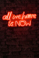 Decoratiune luminoasa LED, All We Have is Now, Benzi flexibile de neon, DC 12 V, Rosu