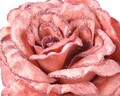 Floare decorativa Rose, Decoris, 10x22x60 cm, catifea, roz