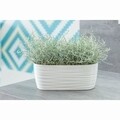 Jardiniera Sahara 27x13x12 cm, antracit