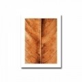 Tablou decorativ, Alpha Wall, Copper Leaf, 30x40 cm