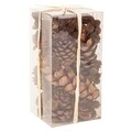 Decoratiuni naturale Creaciones Meng, 10x10x20 cm, materiale vegetale