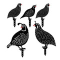 Set decoratiuni pentru gradina, Quails, Metal, Negru