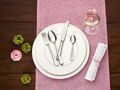 Set tacamuri 24 piese, Villeroy & Boch, Oscar Cutlery, inox 18/10