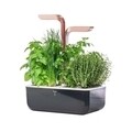 Jardiniera SMART Garden, Veritable 33 x 18.5 x 45 cm, Copper