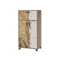 Cabinet cu roti pentru bucatarie Kiler 736, Vella, 60x36x116 cm